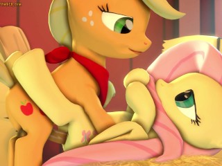 mlp futa ponies applejack fluttershy sfm